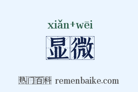 显微是什么意思的图片